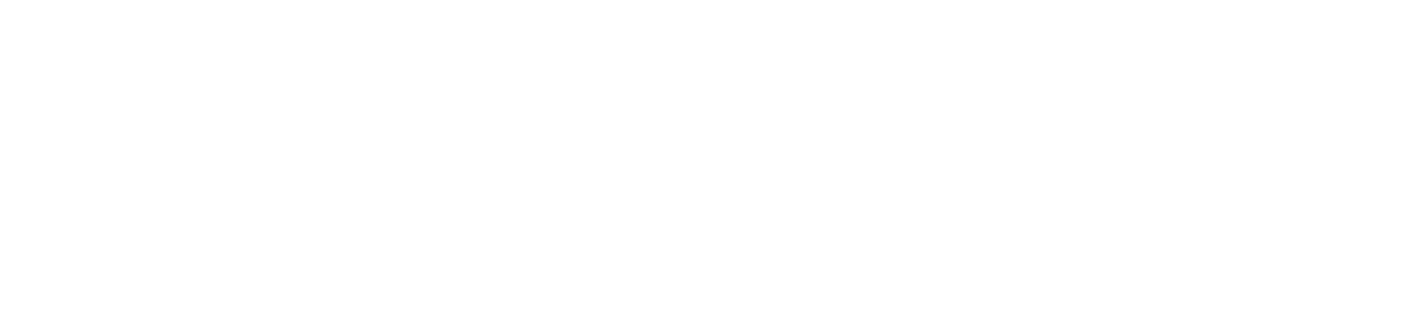 VIOSSI logo